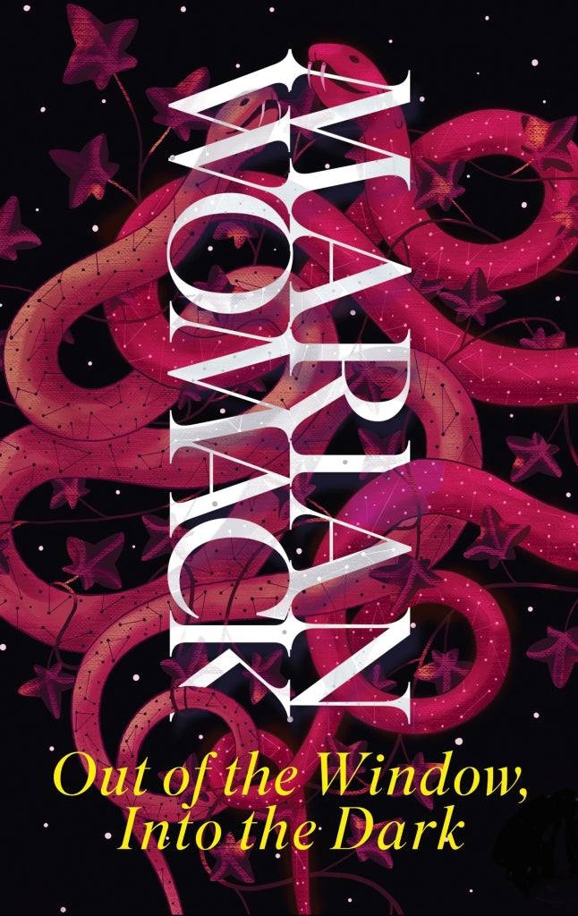 Image for Into the Dark out of the Window