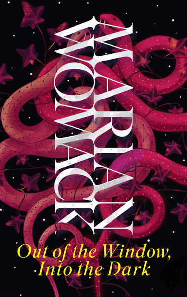 BUNDLE: Lost Objects + Out of the Window, Into the Dark